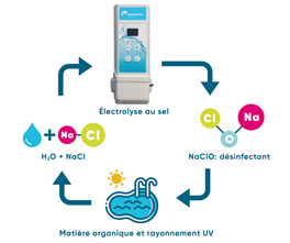 Chloorgenerator HS voorgemonteerd in box met pH en RX regeling